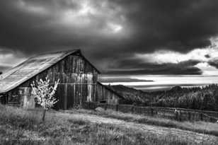 The Barn-7130